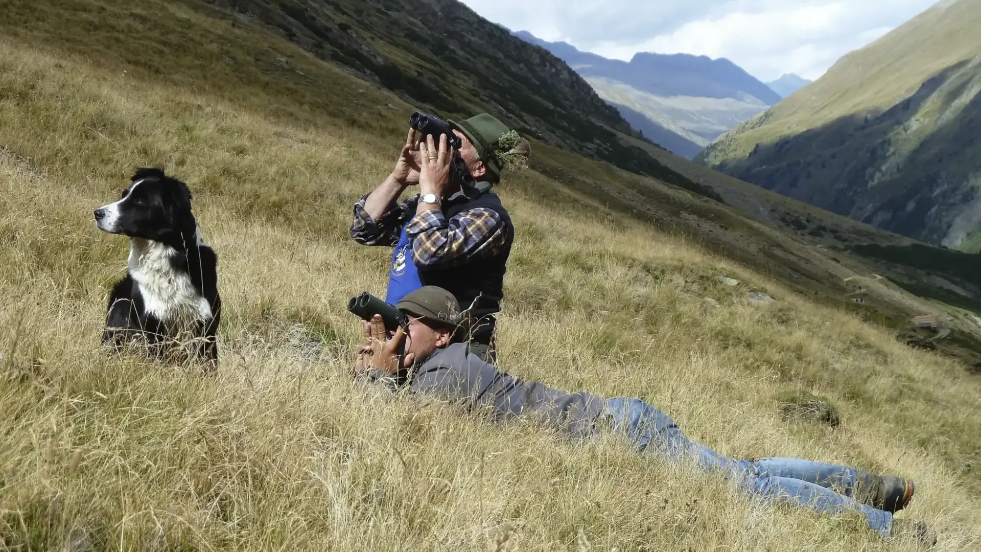Dog on a mountain meadow next to two men with binoculars